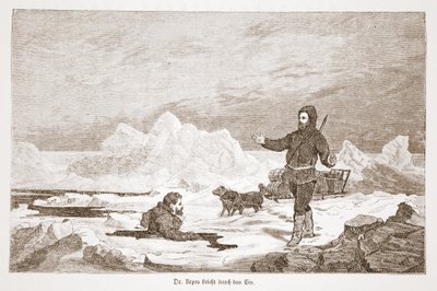 Dr Repes buzun içinden düşüyor, 1876 by Austrian School