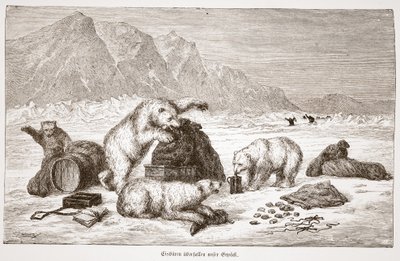 Kutup ayıları bagaj barımıza saldırıyor. Viyana 1876 (gravür) by Austrian School