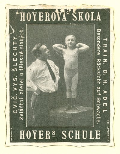 Hoyers Okulu by Austrian School