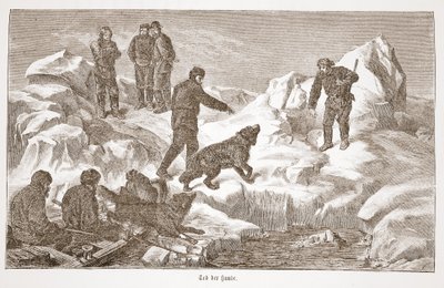 Köpeklerle avlanma, 1876 by Austrian School