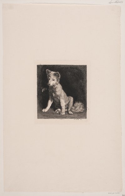 köpek ve arı by Axel Helsted