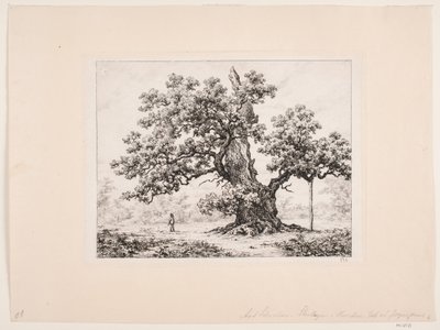 Storkeegen. Jægerspris by Axel Schovelin