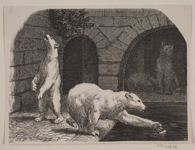 Bjørne ve Botanik Bahçesi by Axel Theodor Kittendorff