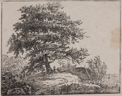 Deniz kenarında bir yamaçta ağaç by Axel Theodor Kittendorff