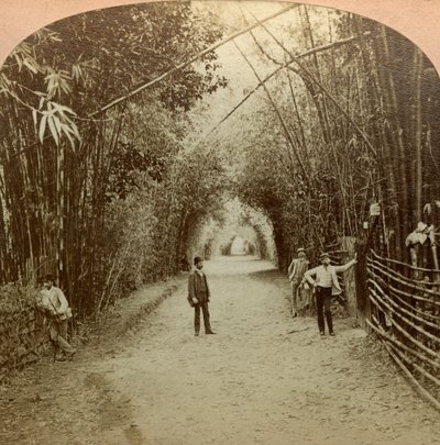 Mardyke, Cork, İrlanda. by B. W. Kilburn