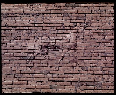 Bir boğa detayı, İştar kapısının kabartması, MÖ 580 by Babylonian