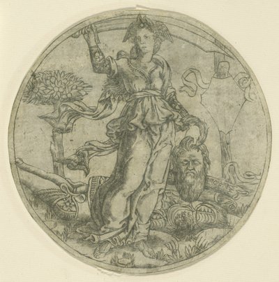  by Baccio Baldini