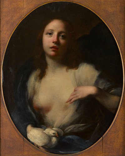 Beyaz güvercinli genç bir kız resmi (tuval üzerine yağlı boya) by Baldassare (1611 89) Franceschini