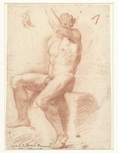 Çıplak erkek model üzerinde çalışma by Baldassare Franceschini