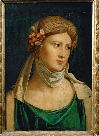  by Baldassarre Peruzzi