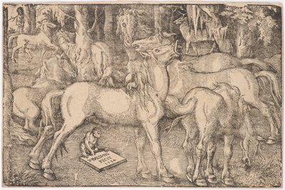 Yedi At Grubu, 1534. by Baldung