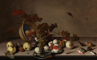 Hasır sepet, midye ve kelebek ile meyve natürmort, 17. yüzyılın ilk yarısı. by Balthasar van der Ast