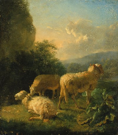 Koyun, 18. yüzyılın sonu ve 19. yüzyılın başı. by Balthasar Paul Ommeganck