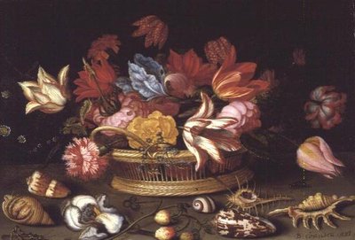 Bir Çıkıntıda Kabuklu Çiçek Sepeti (yağ paneli) by Balthasar van der Ast