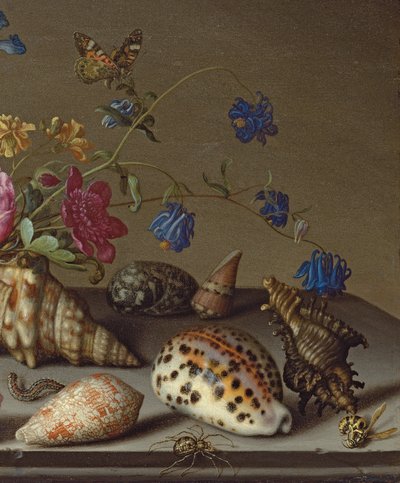 Taş bir çıkıntıda çiçekler, kabuklar ve böcekler by Balthasar van der Ast