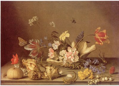  by Balthasar van der Ast