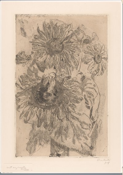 Vazoda üç ayçiçeği by Barbara Elisabeth van Houten (signed by artist)