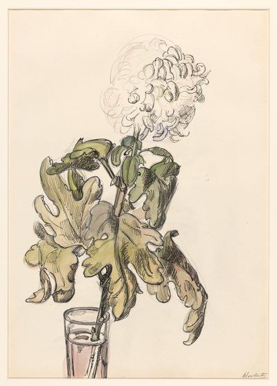 Bir vazoda çiçek açan krizantem by Barbara Elisabeth van Houten