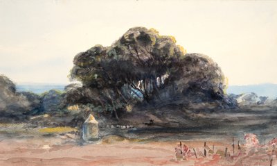 Manzara: Çam ve Küçük Taret (dokuma kağıt üzerine suluboya ve grafit) by Barbara Leigh Smith Bodichon