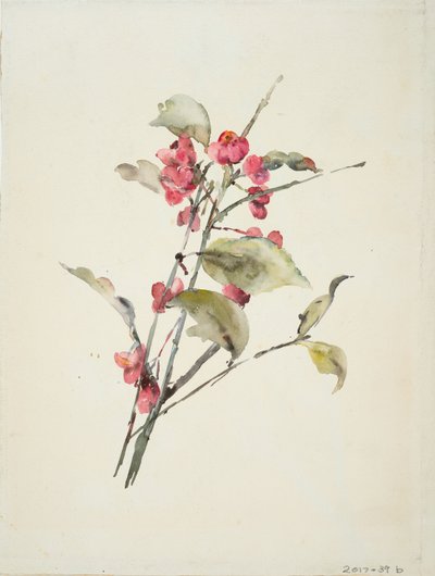 Pembe Çiçekler (kağıt üzerine sulu boya) by Barbara Leigh Smith Bodichon