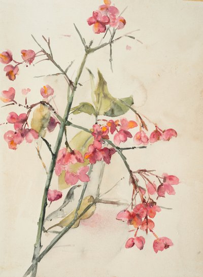 Pembe Çiçekler (kağıt üzerine sulu boya) by Barbara Leigh Smith Bodichon