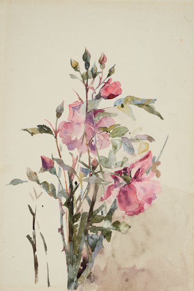 Pembe çiçek sapları (kağıt üzerine sulu boya) by Barbara Leigh Smith Bodichon