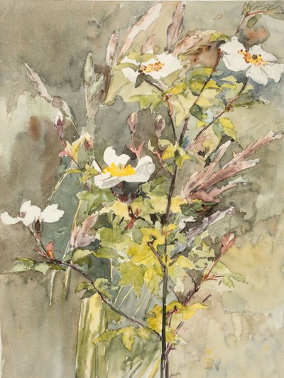 Kır çiçekleri (dokuma kağıt üzerine suluboya ve grafit) by Barbara Leigh Smith Bodichon