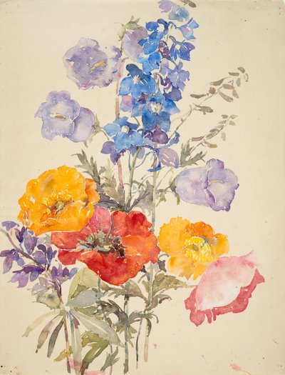 Sarı, kırmızı ve mavi çiçekler (serme kağıt üzerine suluboya ve grafit) by Barbara Leigh Smith Bodichon