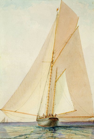 Light Zephyr