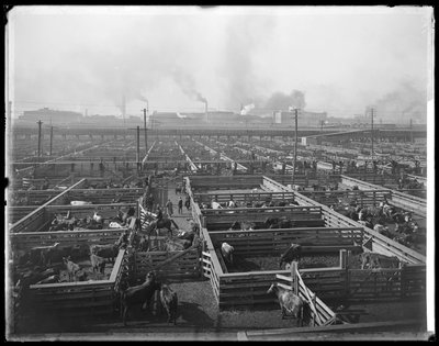 Union Stock Yards