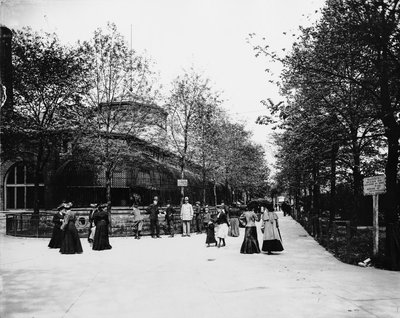 Lincoln Park Hayvanat Bahçesi., Chicago, Illinois, ABD, c.1900 (s/b fotoğraf) by Barnes and Crosby