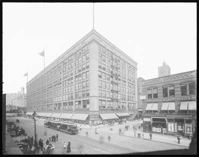 Siegel, Cooper & Company binası, Chicago, Illinois, ABD, c.1905 (s/b fotoğraf) by Barnes and Crosby
