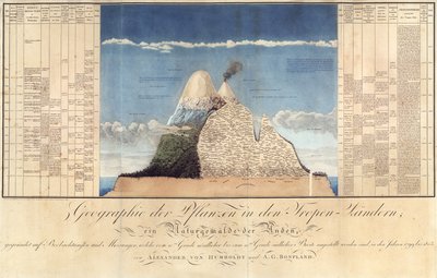 Tropik Ülkelerdeki Bitkilerin Coğrafyası, And Dağları Üzerine Bir Araştırma, Schoenberger und Turpin tarafından çizildi, Langlois, Paris tarafından basıldı by Baron Friedrich Alexander von Humboldt