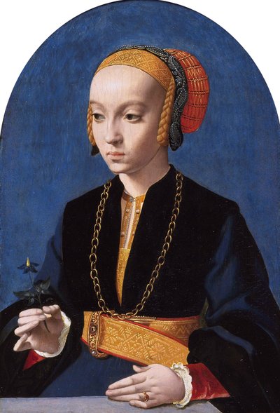  by Bartholomaeus Bruyn the Elder