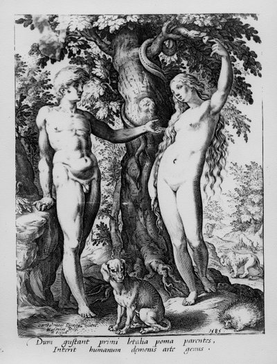 Adem ve Havva, Hendrik Goltzius tarafından kazınmış, 1585 by Bartholomaeus Spranger