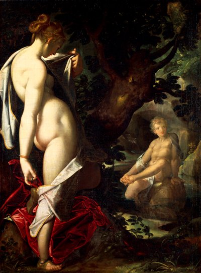 Bartholomaeus Spranger (1546-1611) tarafından Hermaphroditus ve Salamace by Bartholomaeus Spranger