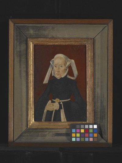 Bir Hanımın Portresi (ahşap üzerine yağlıboya) by Bartholomaeus the Elder Bruyn