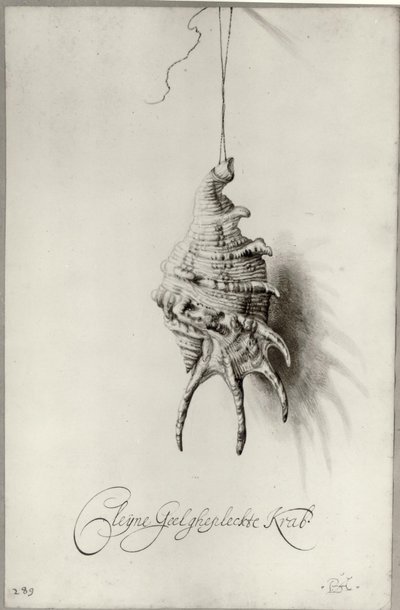  by Bartholomeus Assteyn