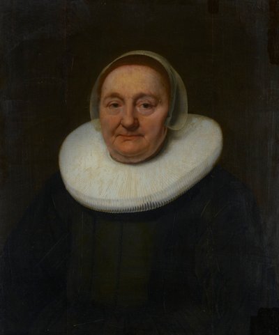 Bir Kadının Portresi by Bartholomeus van der Helst