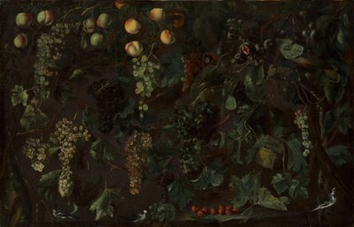 Üzüm Asmaları ve Meyveleri, Üç Kuyruklu Kuyruklu, ca. 1615-18. by Bartolomeo Cavarozzi
