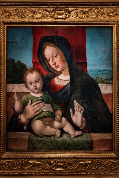 Bebek İsa ile Madonna, 15. yüzyılın son on yılı (panelde yağlı boya) by Bartolomeo Montagna