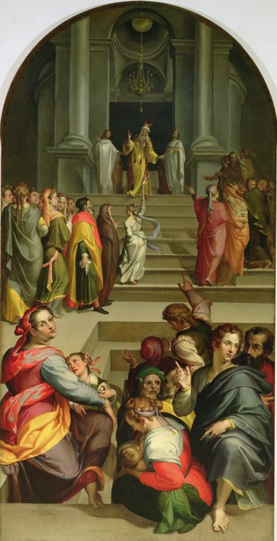 Meryem'in Tanıtımı by Bartolomeo Passarotti