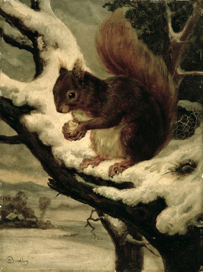 Fındık Yiyen Kızıl Sincap (değirmen tahtasında yağlı boya) by Basil Bradley