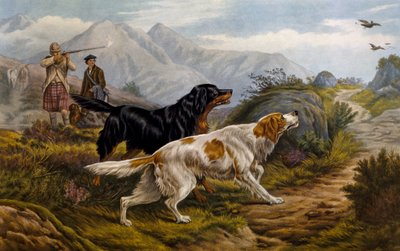 Orman tavuğu avı by Basil Bradley