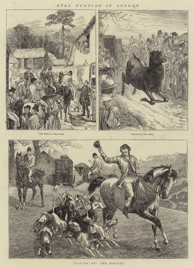 Surrey