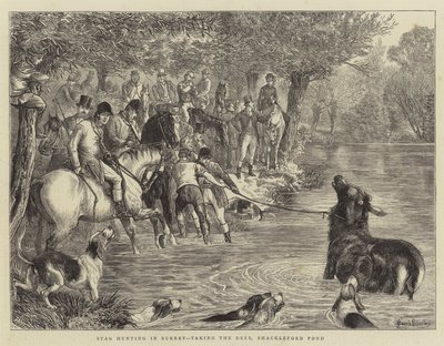 Surrey