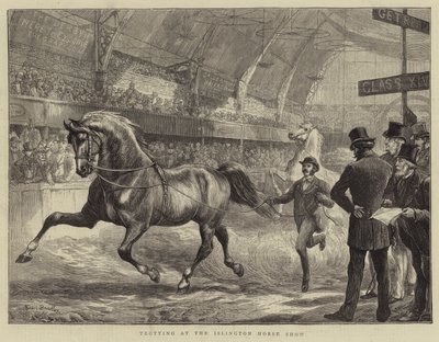 ಇಸ್ಲಿಂಗ್ಟನ್ ಹಾರ್ಸ್ ಶೋ ಟರ್ಕ್‌ನಲ್ಲಿ ಟ್ರಾಟಿಂಗ್ by Basil Bradley