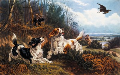 çulluk avı by Basil Bradley