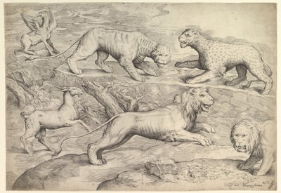 Aslanlar, kaplanlar, leoparlar, griffinler ve keçiler dahil olmak üzere altı hayvan, ca. 1530-61. by Battista Franco Veneziano