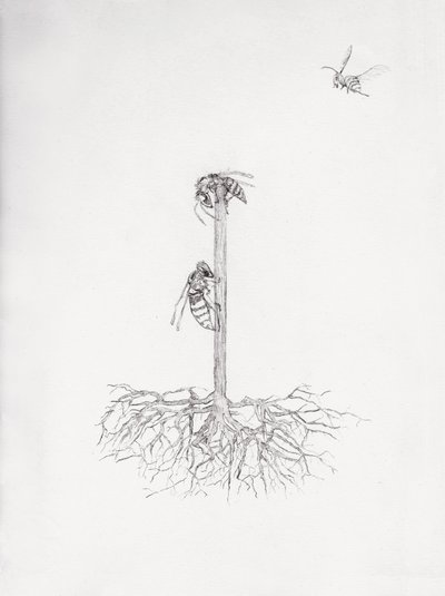  by Bella Larsson